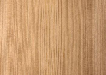 Cedar, Japanese image